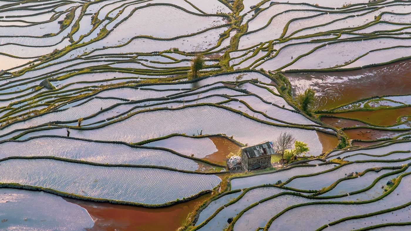 Flooded rice terraces of Yuanyang reflecting the sky in silver and gold curves