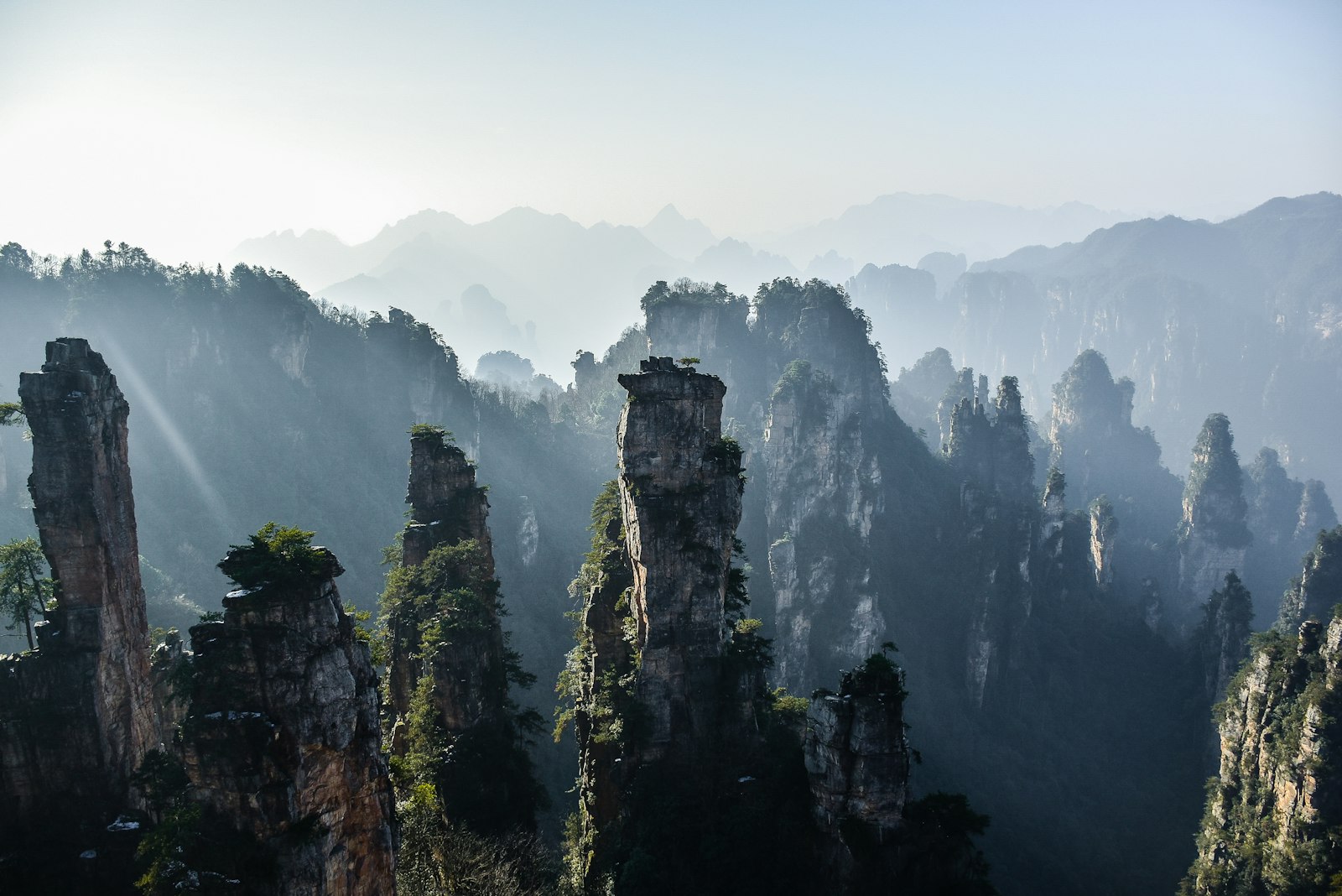 Sandstone pillar mountains of Zhangjiajie rising out of morning mist